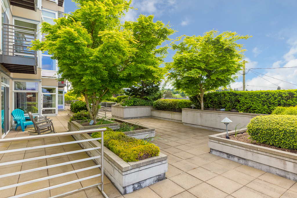 A patio with a table and chairs surrounded by trees and bushes.
